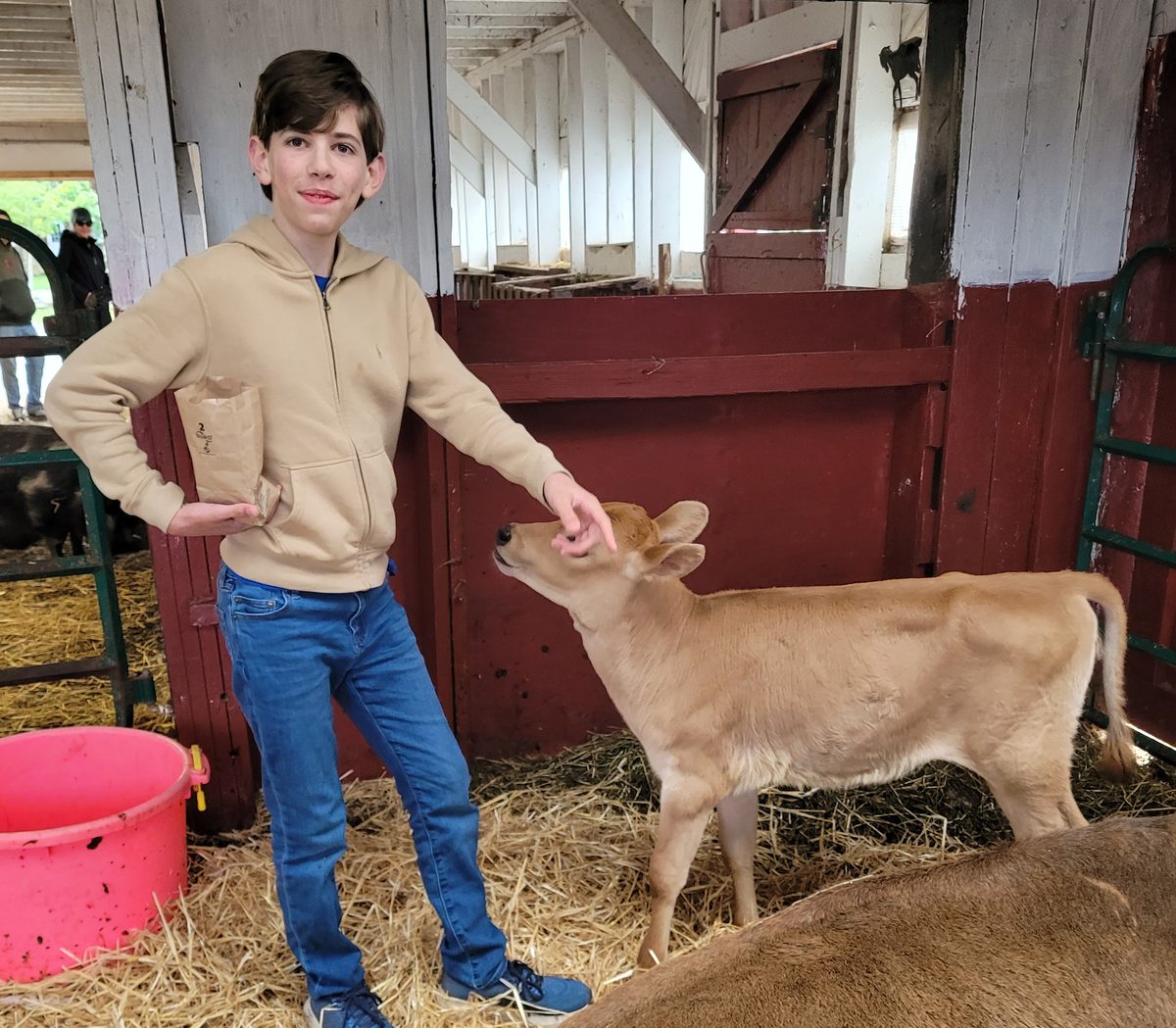 Sebastian with a calf at the farm